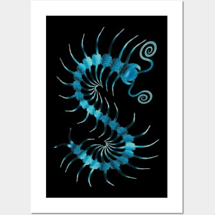 Dark & Light Blue Centipede Posters and Art